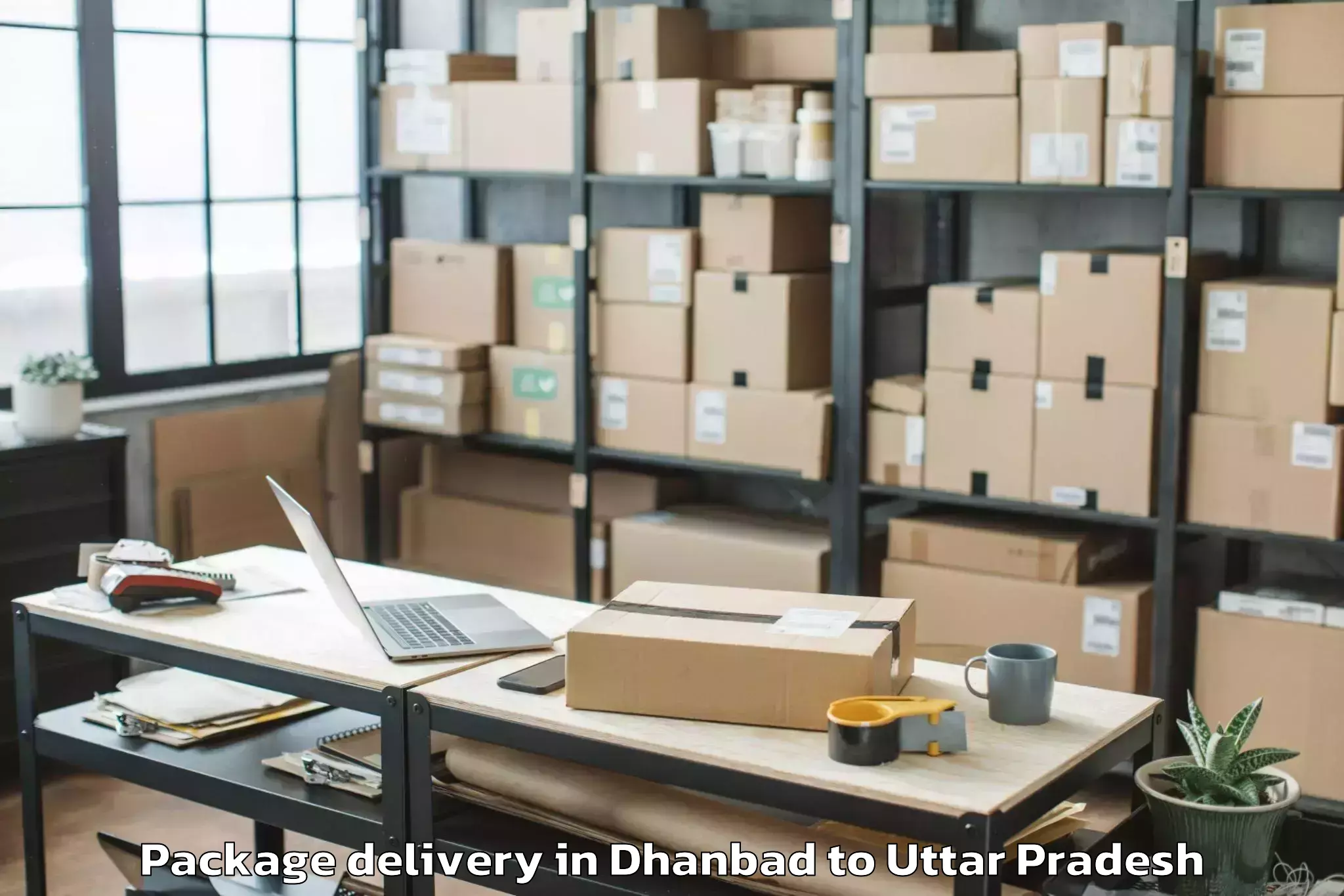 Quality Dhanbad to Bewar Package Delivery